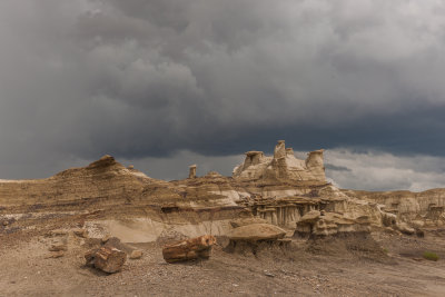 Bisti Badlands-53.jpg
