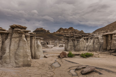 Bisti Badlands-81.jpg