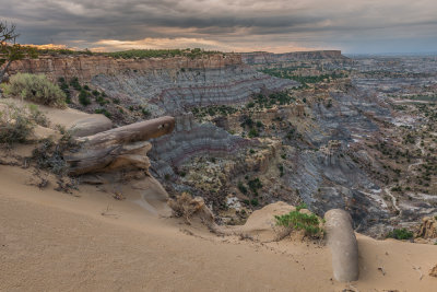 Lybrook Badlands-40.jpg