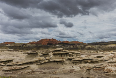 Bisti Badlands-24.jpg