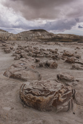 Bisti Badlands-46-48.jpg