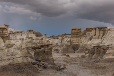 Bisti Badlands-55.jpg