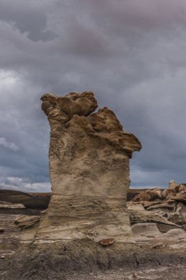 Bisti Badlands-34.jpg