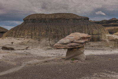 Bisti Badlands-11.JPG