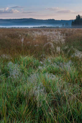 _DSC4136-Edit-2.JPG