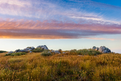 Salt Point SP 2016-2363-1000.JPG