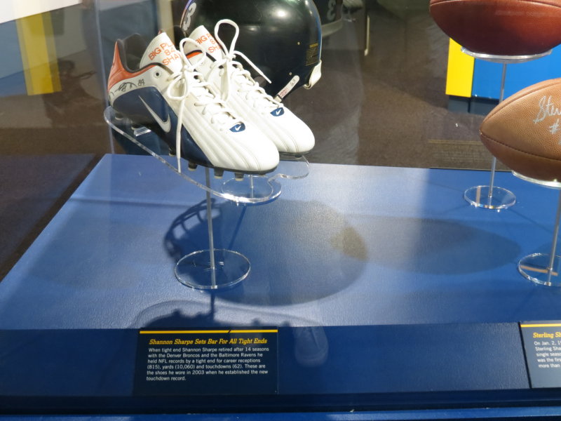 Shannon Sharpe Shoes 2