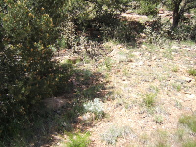2007_0615bridge0002.JPG
