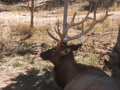 2007_1017gorge_dunes0012.JPG