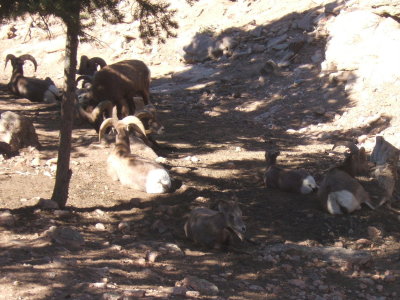 2007_1017gorge_dunes0072.JPG