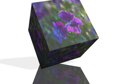 Cube Wrap.jpg