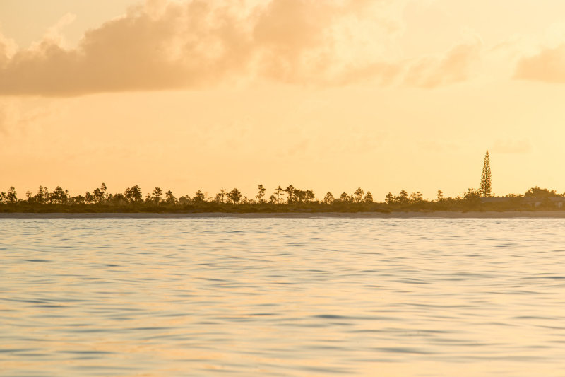 Pine Cay