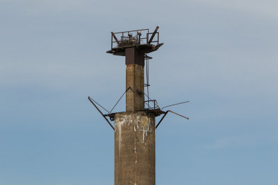 CB6K9161.jpg