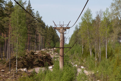 CB6K9172.jpg
