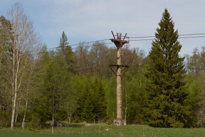 CB6K9183.jpg