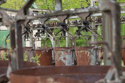 CB6K9203.jpg