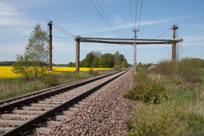XY3B8587.jpg