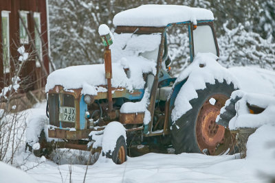 Forgotten in snow