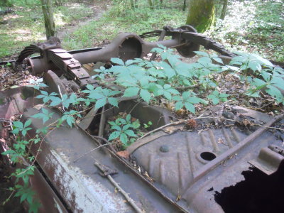 DSCN6039.JPG