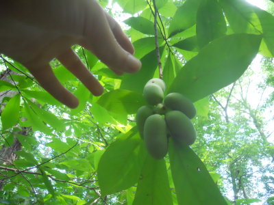 DSCN6057.JPG