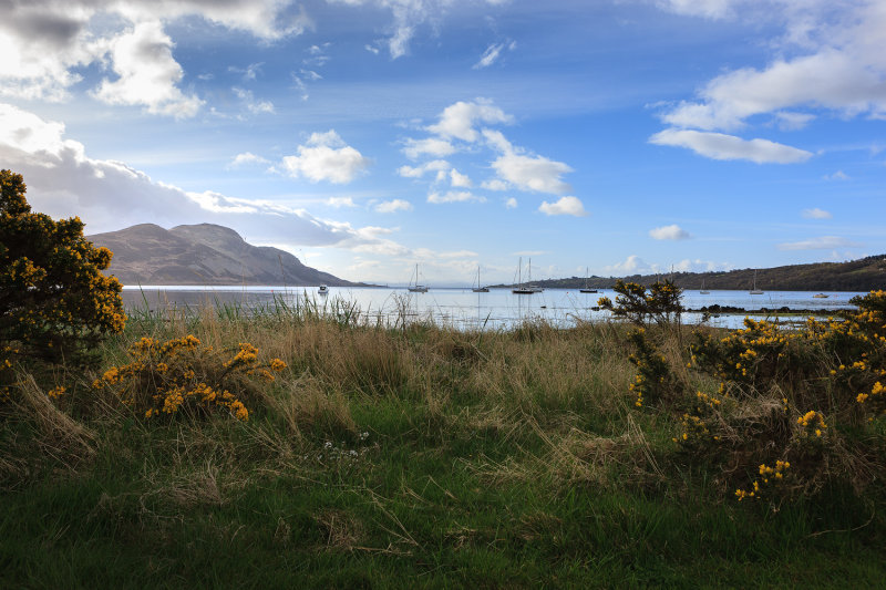 Lamlash Bay