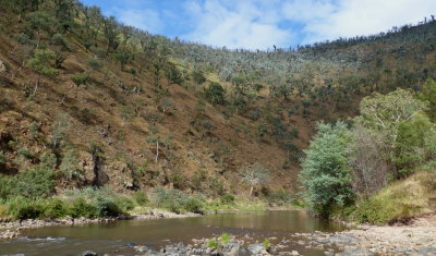 Macalister Gorge
