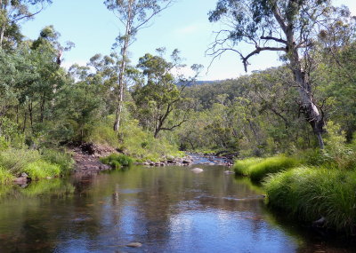 Macalister River