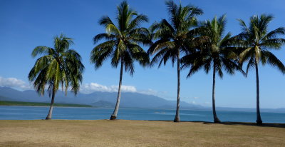 Port Douglas