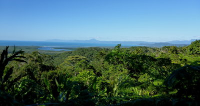 View from Daintree National Park