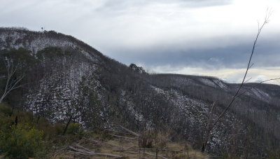 Mount Useful, still recovering from the fires of 2013