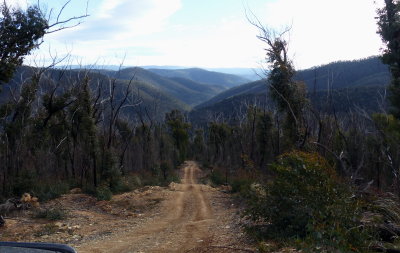 Descending Morning Star Track