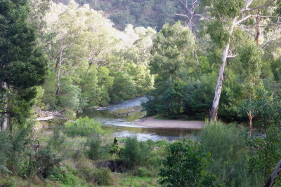 Dargo River at Collins Flat