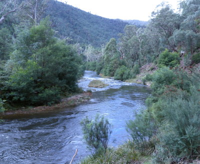 Dargo River