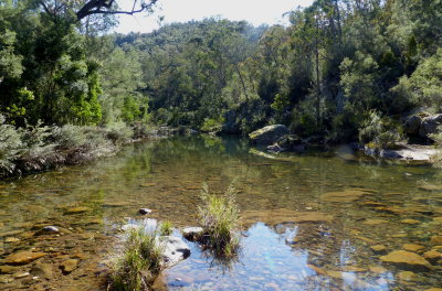 Ben Cruachan Creek.    Crystal clear