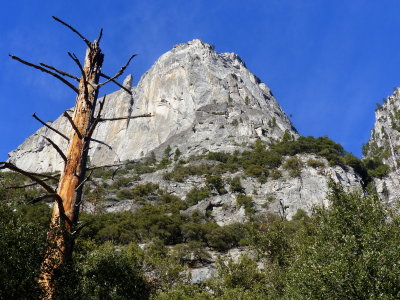 Yosemite National Park