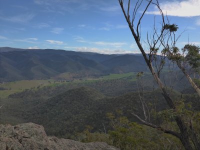 Macalister River Valley from Burgoyne Track