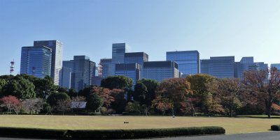 Tokyo skyline from Imperial Palace East Gardens