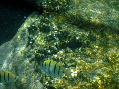 18-DSCN0418.JPG
