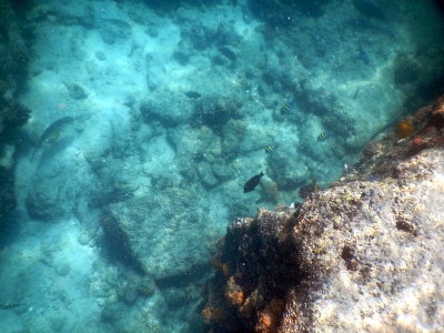 17-DSCN0420.JPG