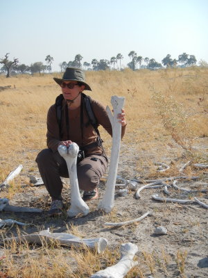 Caroline and a Very Dead Giraffe, Okavango
