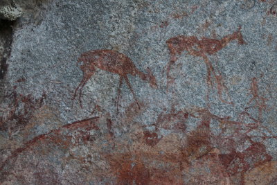 San Pictographs, Matopos