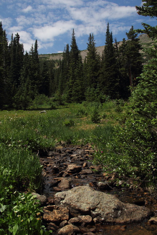 60D_3210.JPG