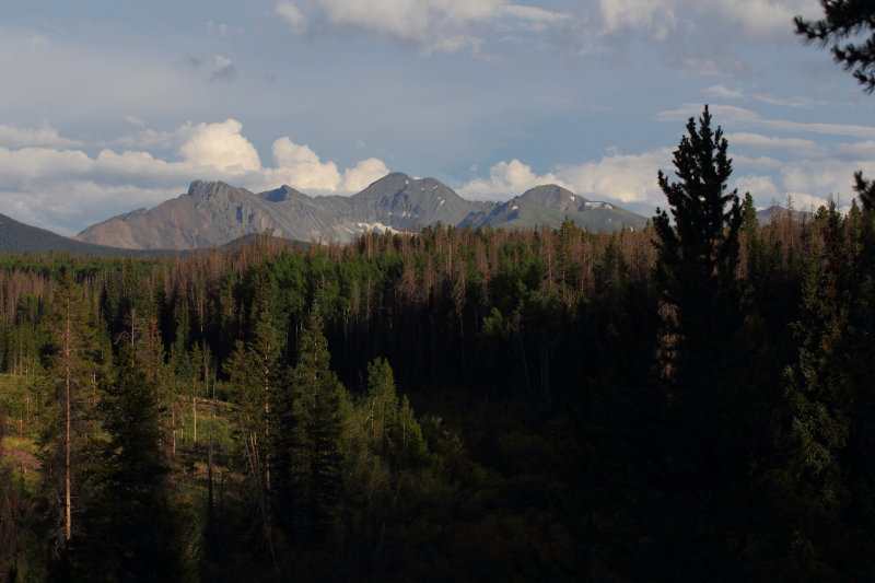 60D_3281.JPG