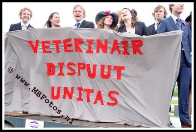 PP24.jpg