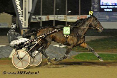 koers 4-Condor Motion1.jpg