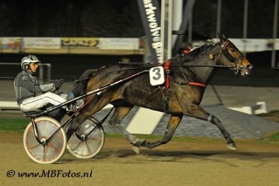 koers 5-Delphine Flevo1.jpg