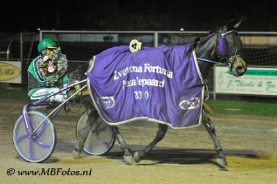 Koers 10-Zvetlena Fortuna3.jpg