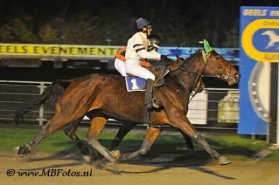 Koers 2-Canavaro Toscana1.jpg