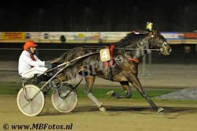 Koers 7 - Tims Pile1.jpg