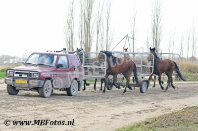 _MBF2357.jpg